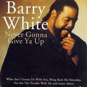 barry white pub dior|Barry White – Never, Never Gonna Give You Up (2000, CD.